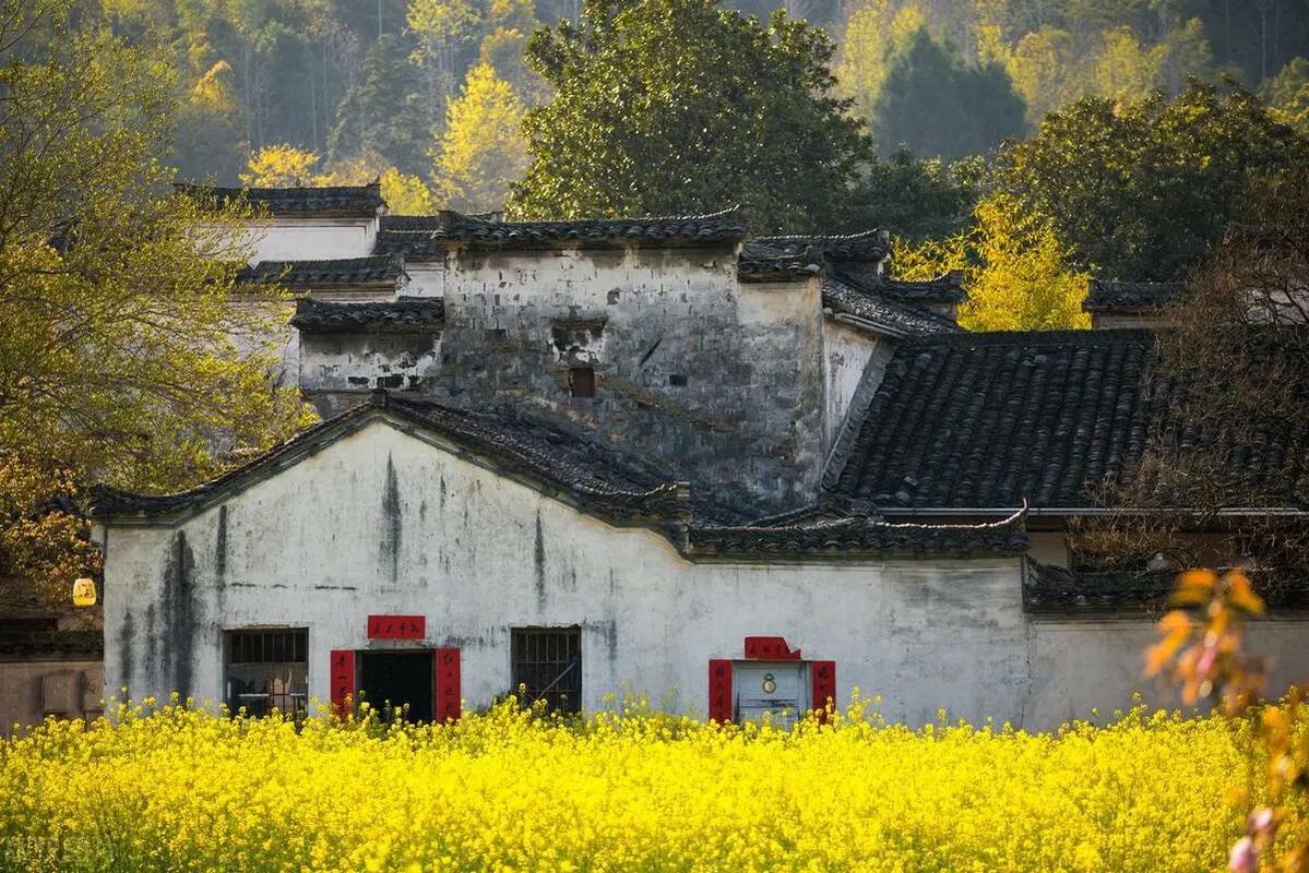 Xidi Village5
